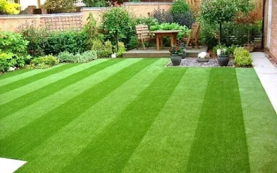6 Lawn Care Mistakes That Can Ruin Your Yard in Chicago